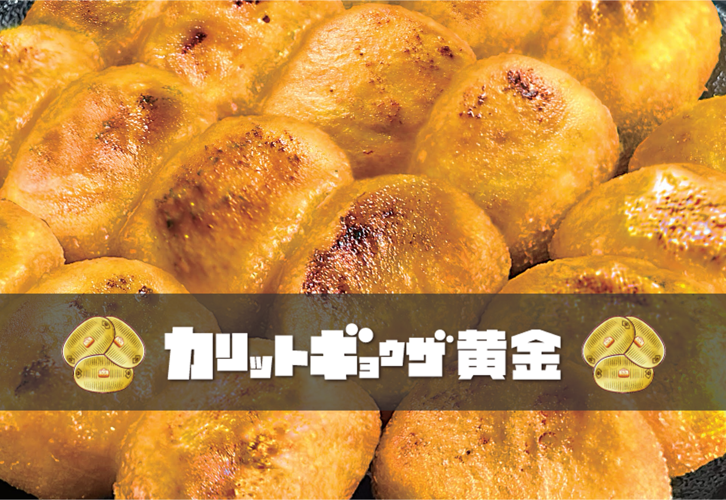 餃子のメイン画像